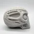 3D модель Мумифицированный череп инопланетянина для 3D-печати